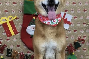 12月のお友達☆
