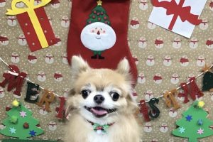 12月のお友達☆