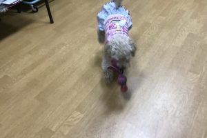 お泊り☆