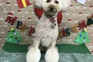 12月のお友達☆