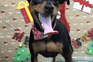 12月のお友達☆