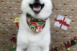 12月のお友達☆