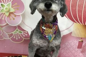 12月のお友達☆