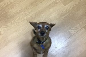 お泊まり中☆