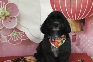 12月のお友達☆
