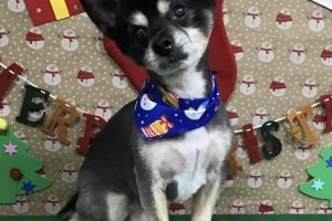 12月のお友達☆