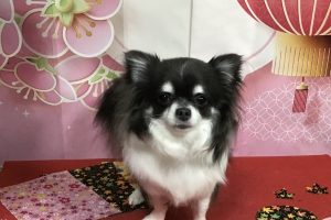 12月のお友達☆
