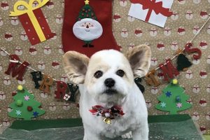 12月のお友達☆