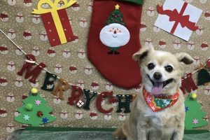 12月のお友達☆