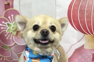 12月のお友達☆