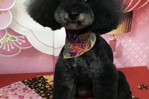 12月のお友達☆