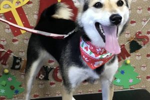 12月のお友達☆