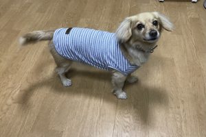 お泊り☆