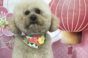 12月のお友達☆