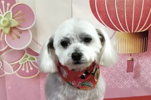 12月のお友達☆