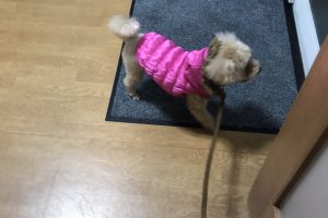 12月のお友達☆
