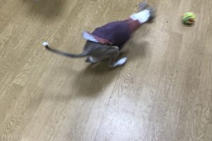 お泊り☆