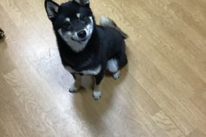お泊まり中☆