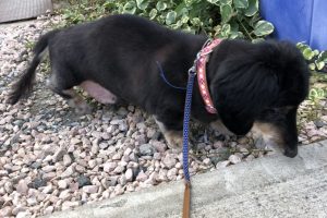 お泊まり中☆