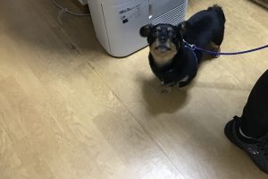 お泊り☆
