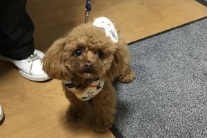 お泊り☆