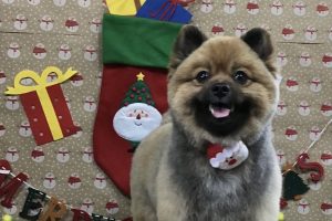 12月のお友達☆