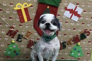 12月のお友達☆