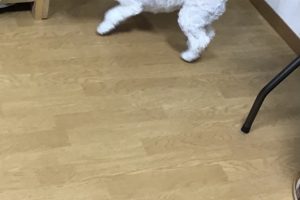 お泊り☆