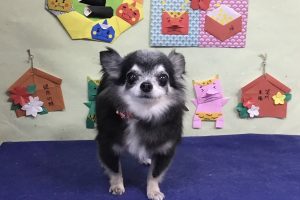 1月のお友達☆