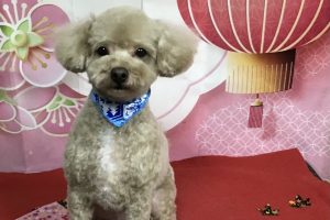 1月のお友達☆
