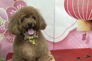 1月のお友達☆