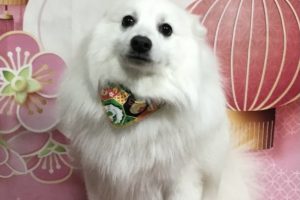1月のお友達☆