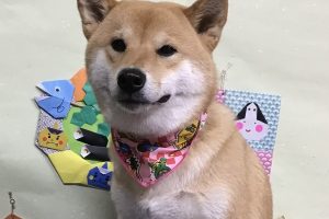 1月のお友達☆