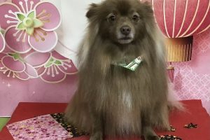 1月のお友達☆
