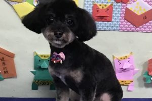 1月のお友達☆