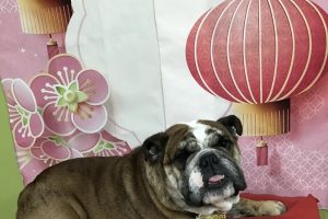 1月のお友達☆