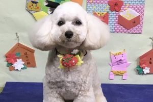 1月のお友達☆