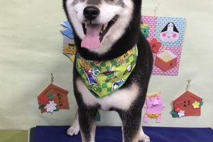 1月のお友達☆