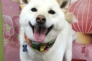 1月のお友達☆