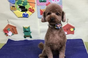 1月のお友達☆
