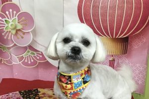 1月のお友達☆