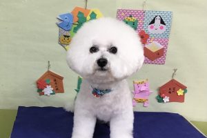 1月のお友達☆