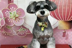 1月のお友達☆