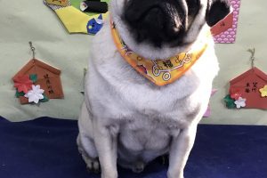 1月のお友達☆