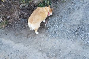 お泊まり☆
