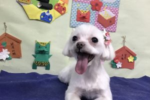 1月のお友達☆