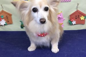 1月のお友達☆