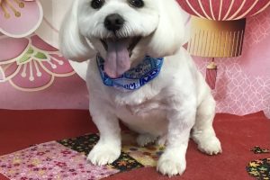 1月のお友達☆