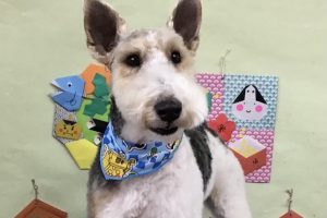 1月のお友達☆