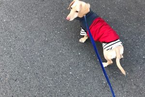 お泊まり☆